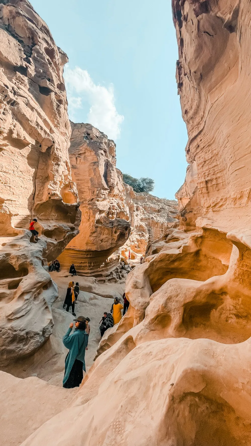 جزیره و دریا